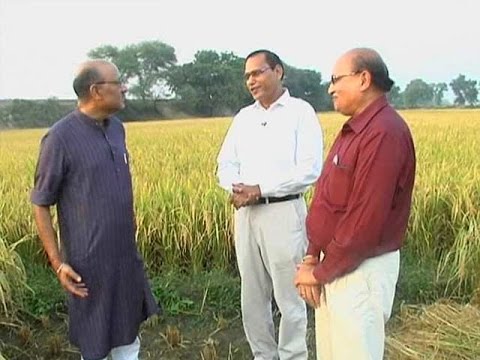 developers of Pusa-1509 rice